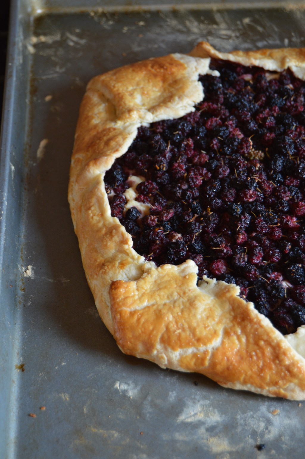 Mulberry Galette