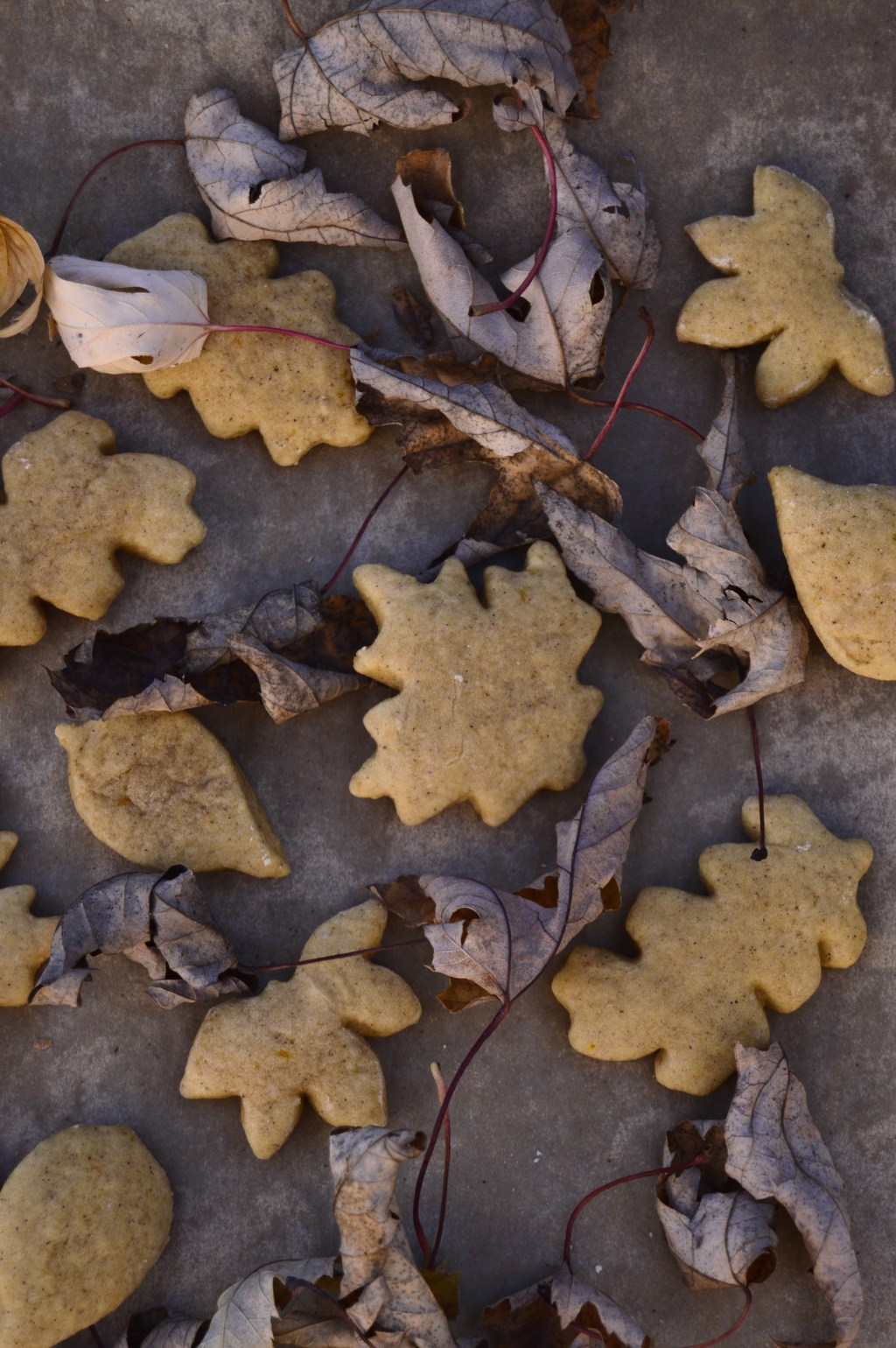 Fall Leaf Cookies