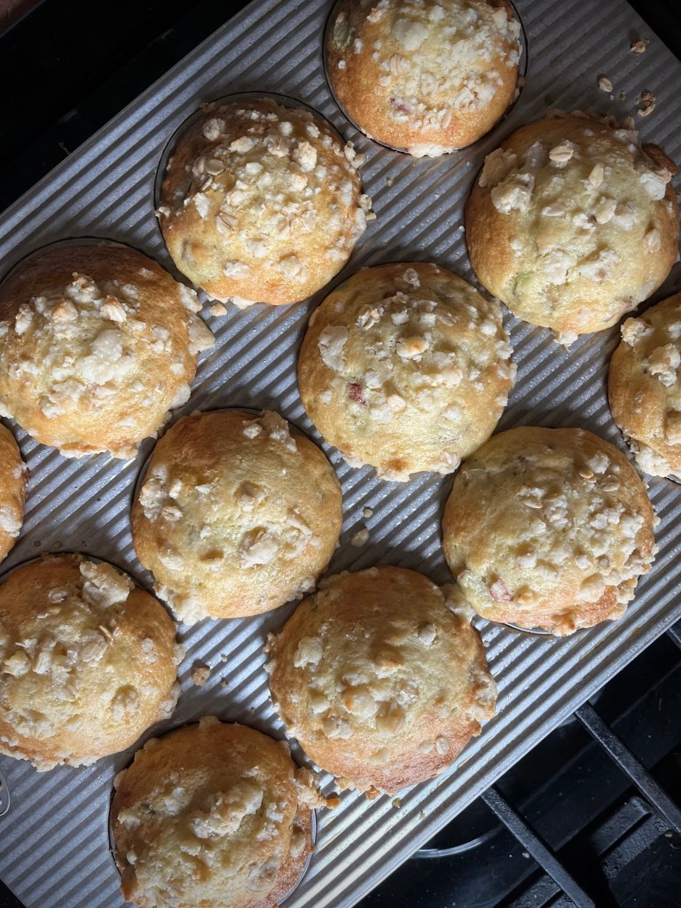 Rhubarb Muffins